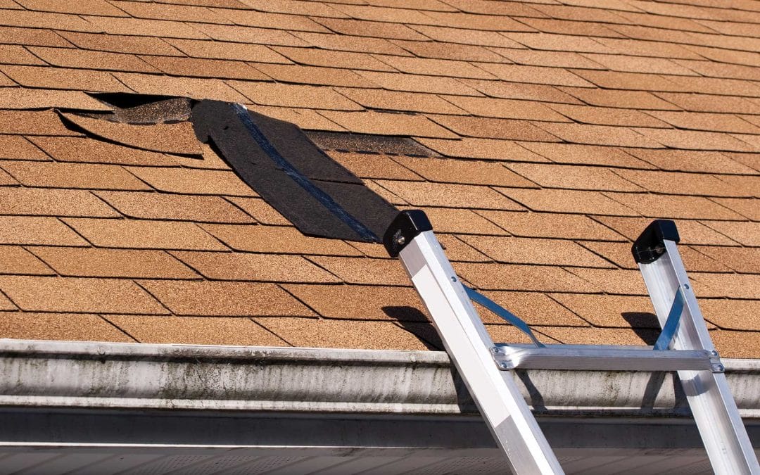 What to Do if a Storm Damages Your Roof in Central Minnesota