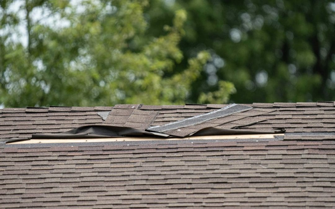 The Most Common Spring Roofing Problems in Central Minnesota